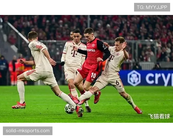 德甲转会窗开启,新援注入激活球队竞争力 德甲转会窗开启,新援注入激活球队竞争力